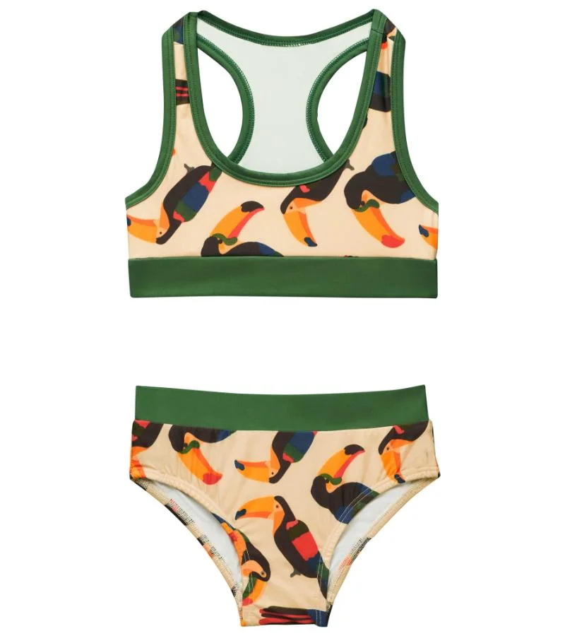 هدير بكيني طائر الطوقان